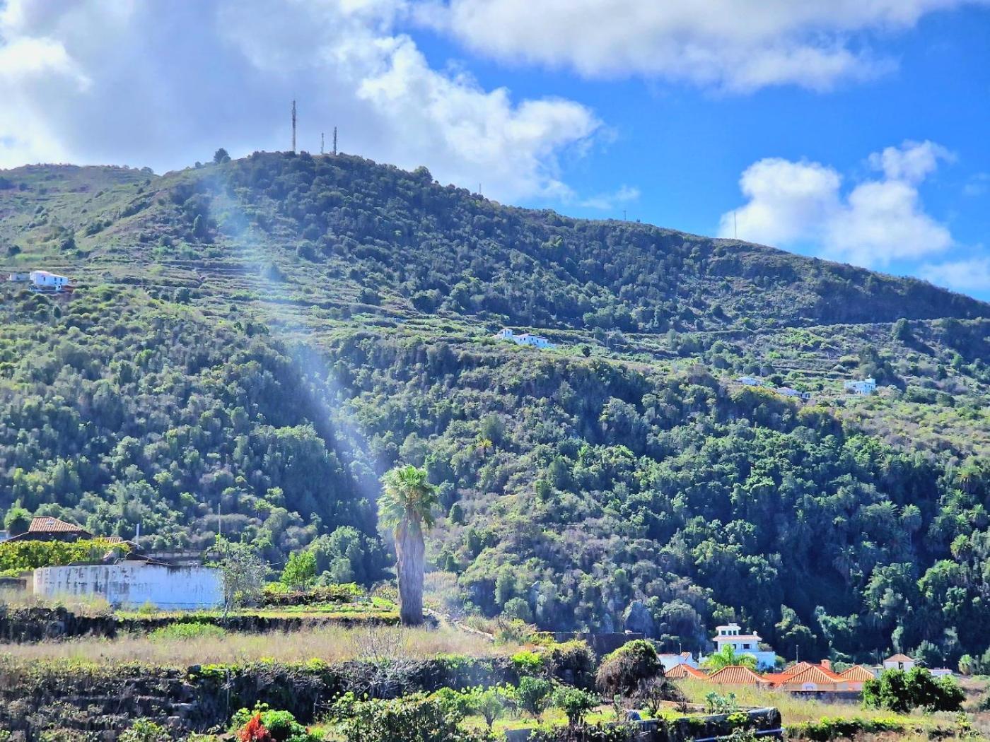 Cozy House Casa De Los Abuelos In Icod De Los Vinos By Hrtenerife Net Екстериор снимка